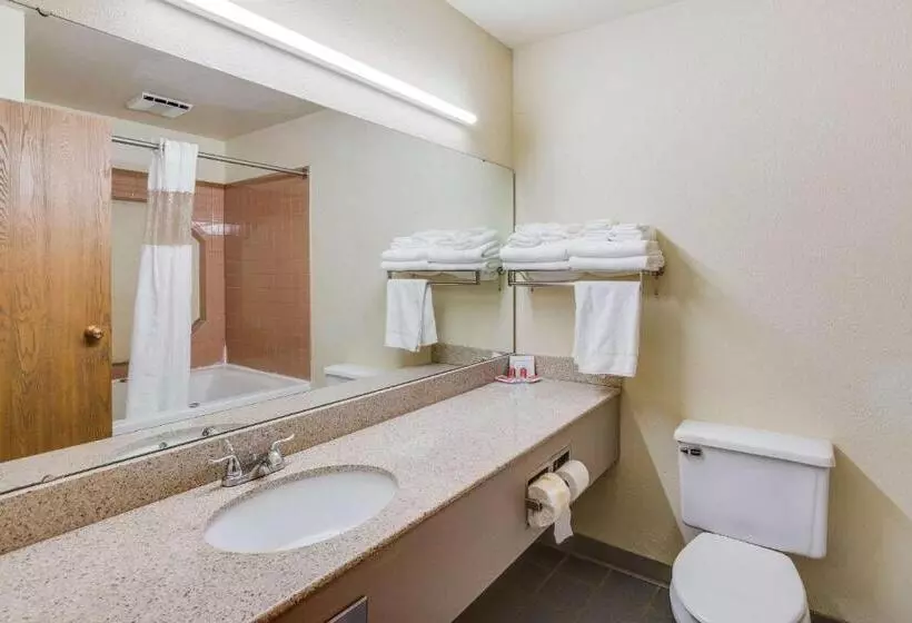 ２ダブルベッドのスタンダードルーム, Econo Lodge Whitehall Near Michigan S Adventure