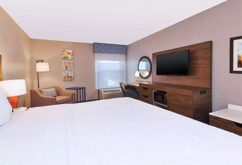 اتاق استاندارد با تخت بزرگ, Doubletree By Hilton Virginia Beach Oceanfront South