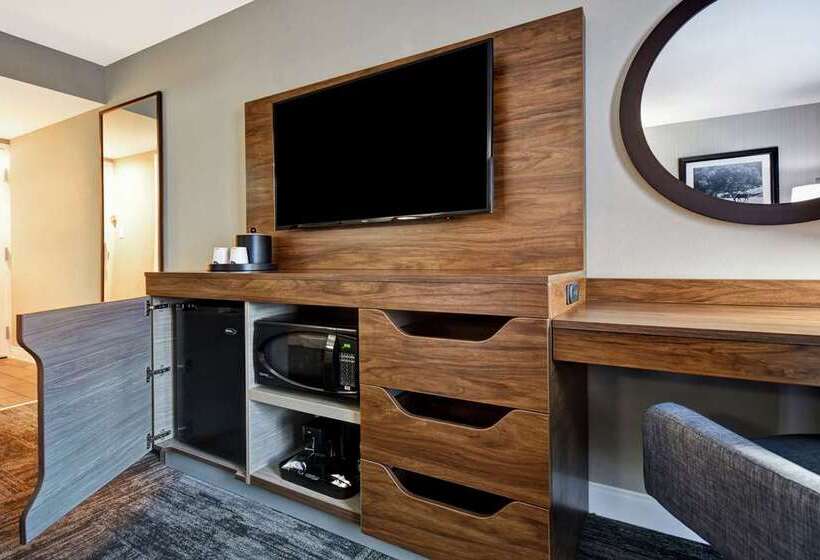 غرفة قياسية سرير كينج, Doubletree By Hilton Virginia Beach Oceanfront South