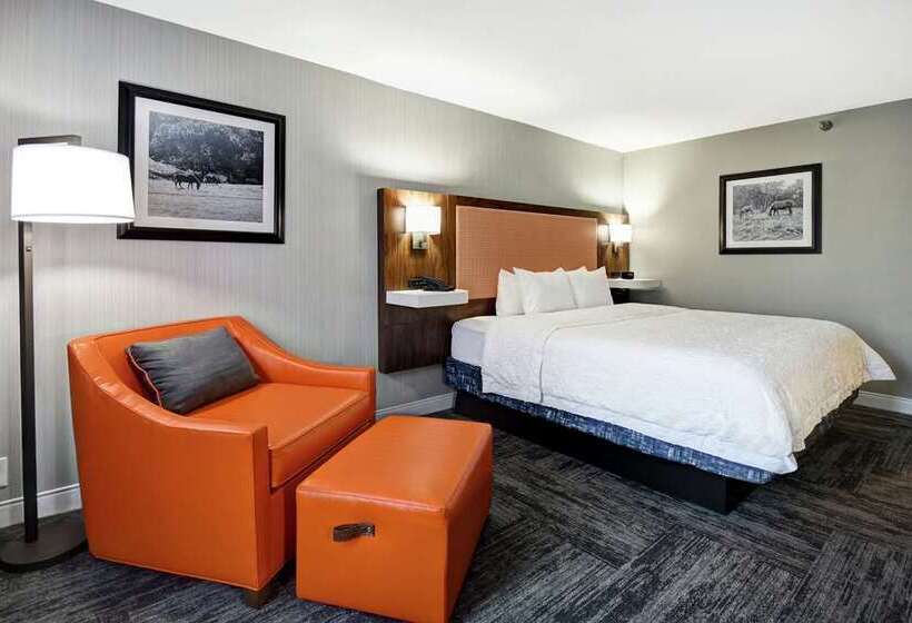 غرفة قياسية سرير كينج, Doubletree By Hilton Virginia Beach Oceanfront South