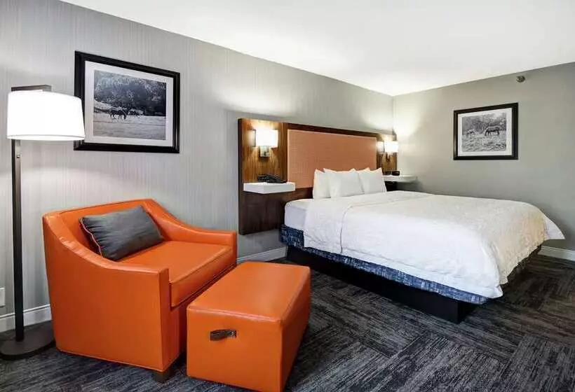 اتاق استاندارد با تخت بزرگ, Doubletree By Hilton Virginia Beach Oceanfront South