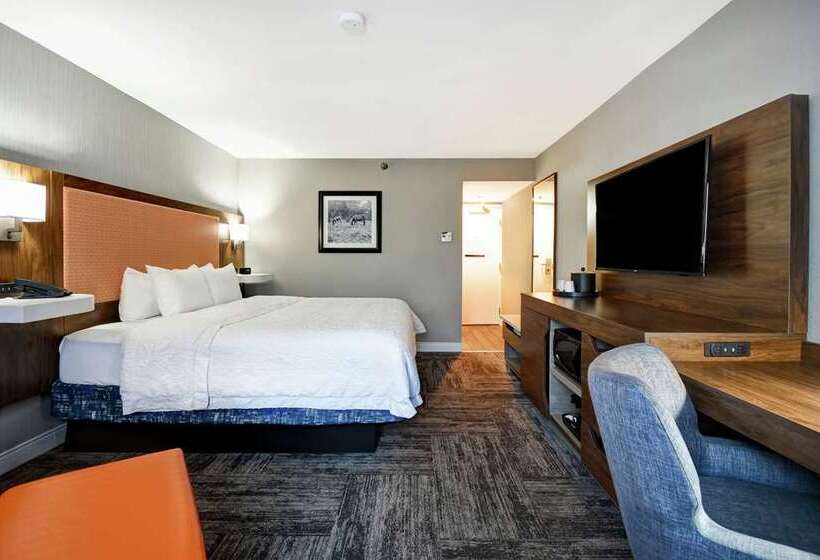 带大床的标准间, Doubletree By Hilton Virginia Beach Oceanfront South