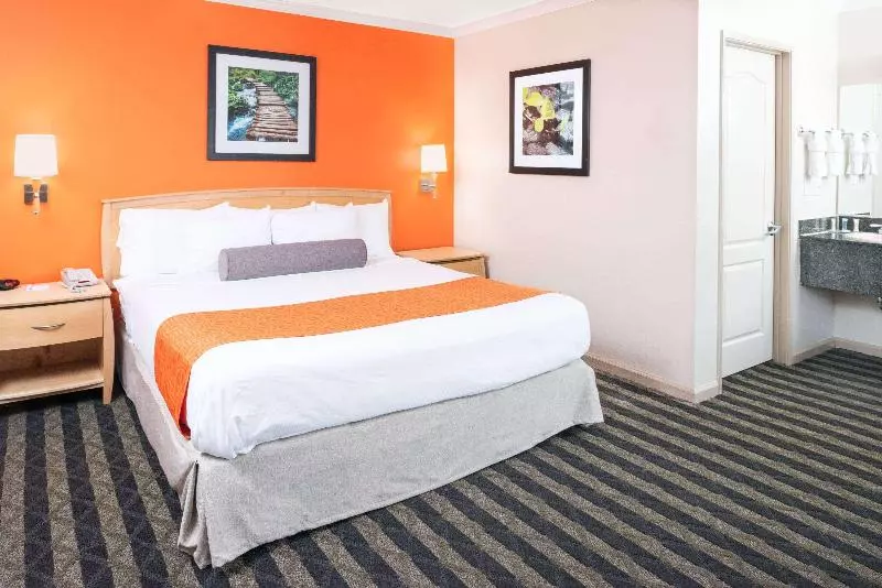 سوئیت با تخت بزرگ, Surestay By Best Western San Francisco Marina District