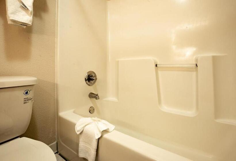 חדר סטנדרט עם מיטת קינג, Ramada By Wyndham Bolingbrook