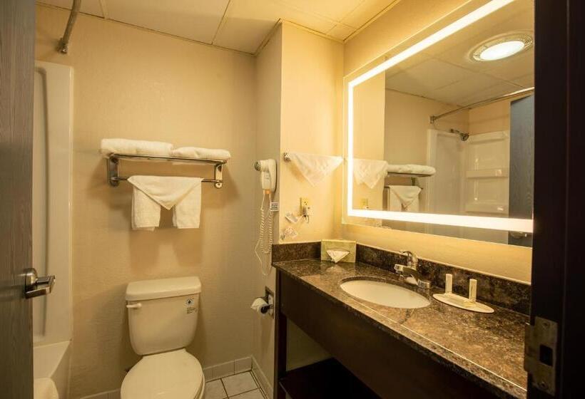 חדר סטנדרט עם מיטת קינג, Ramada By Wyndham Bolingbrook