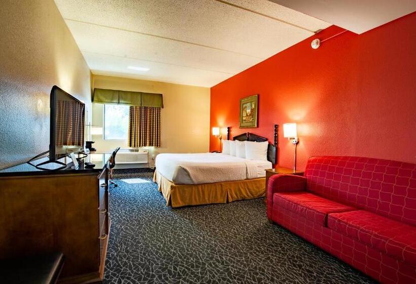 חדר דחוקס עם מיטת קינג, Ramada By Wyndham Bolingbrook