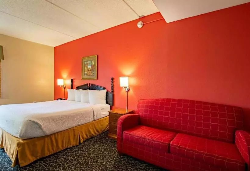 キングサイズベッドのデラックスルーム, Ramada By Wyndham Bolingbrook