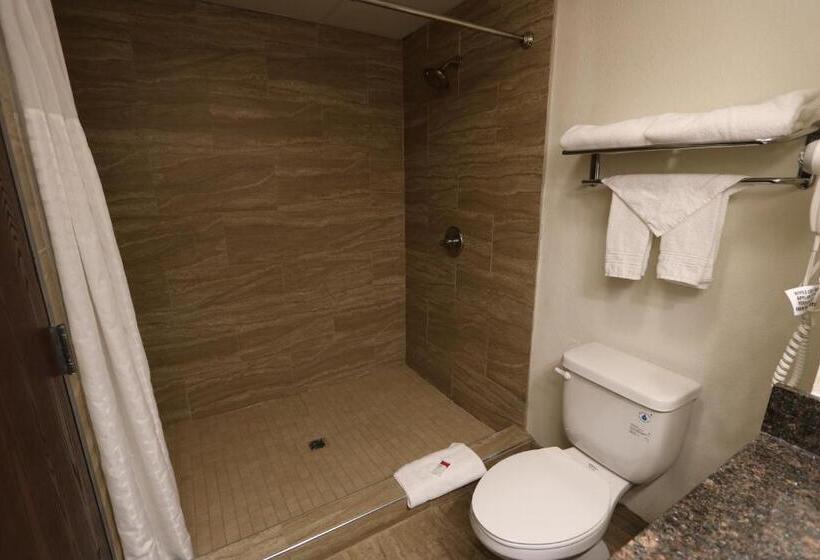 חדר סטנדרט עם מיטת קינג, Ramada By Wyndham Bolingbrook