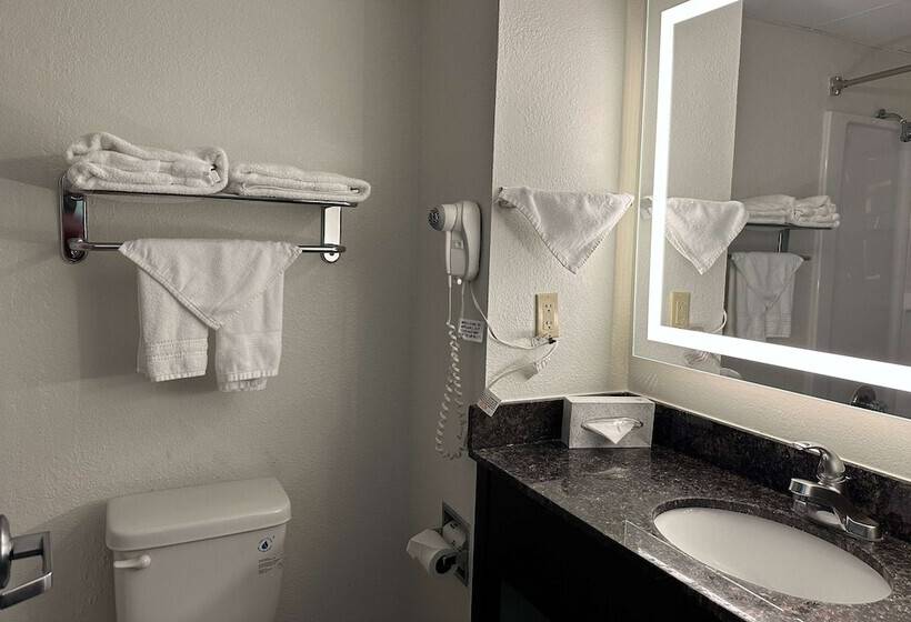デラックスルーム, Ramada By Wyndham Bolingbrook