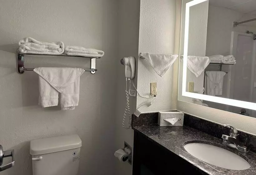 デラックスルーム, Ramada By Wyndham Bolingbrook