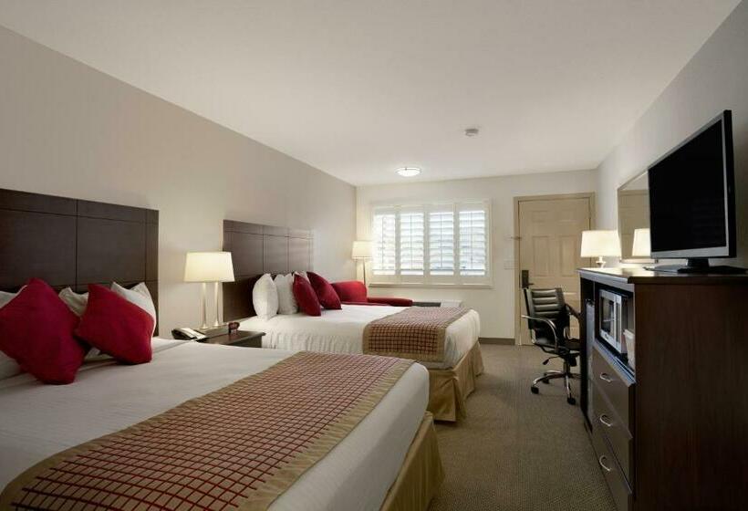 Люкс, Infinity Inn & Suites
