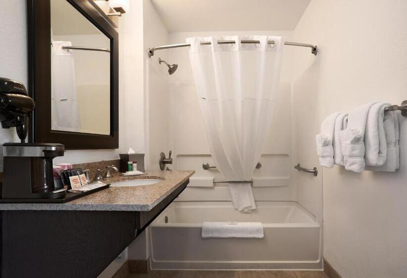 חדר סטנדרט עם מיטת קינג, Infinity Inn & Suites