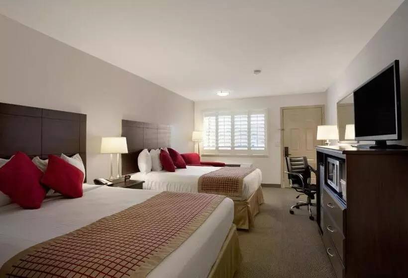 身障者適用スタンダードルーム, Infinity Inn & Suites