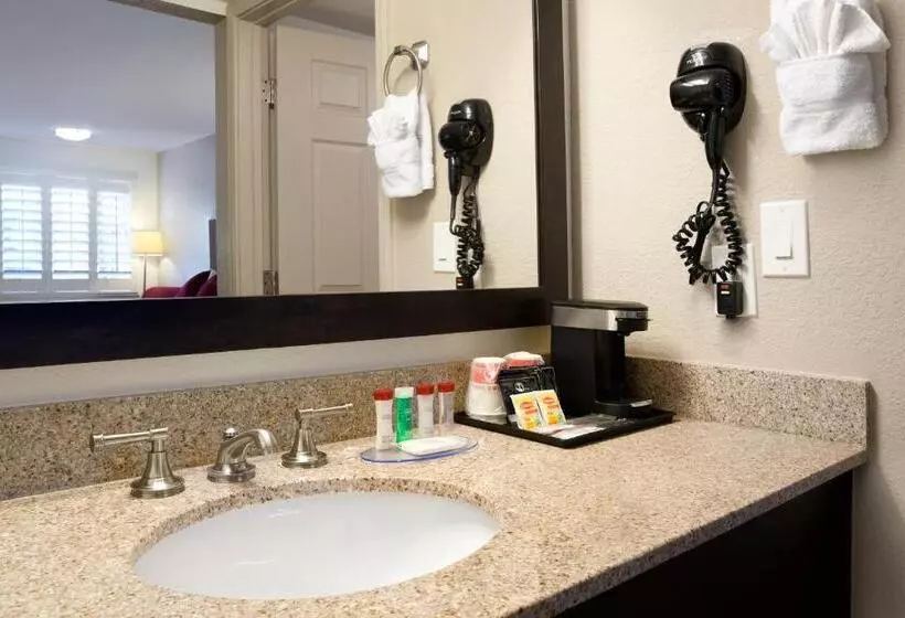 キングサイズベッドのスイートルーム, Infinity Inn & Suites