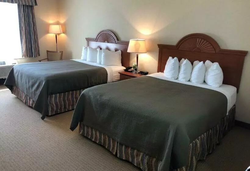 デラックスルーム, Red Coach Inn & Suites