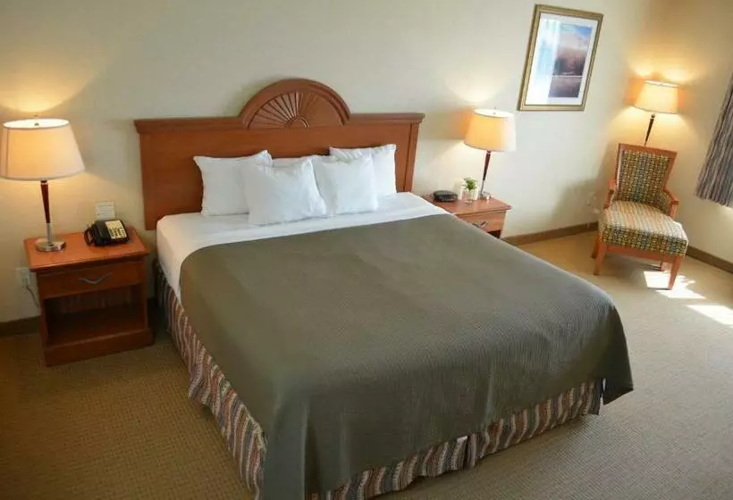 キングサイズベッドのスタンダードルーム, Red Coach Inn & Suites