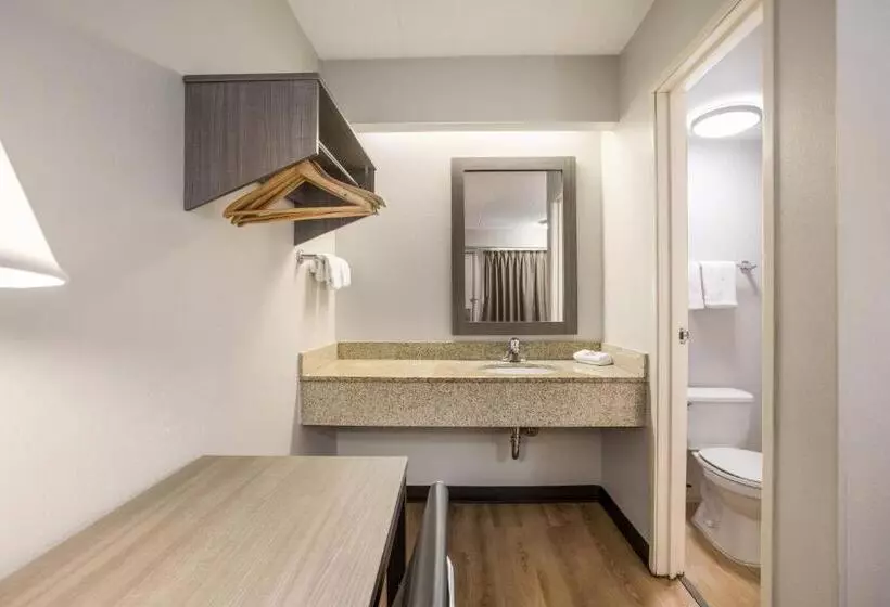 اتاق لوکس, Red Roof Inn Lansing West Msu