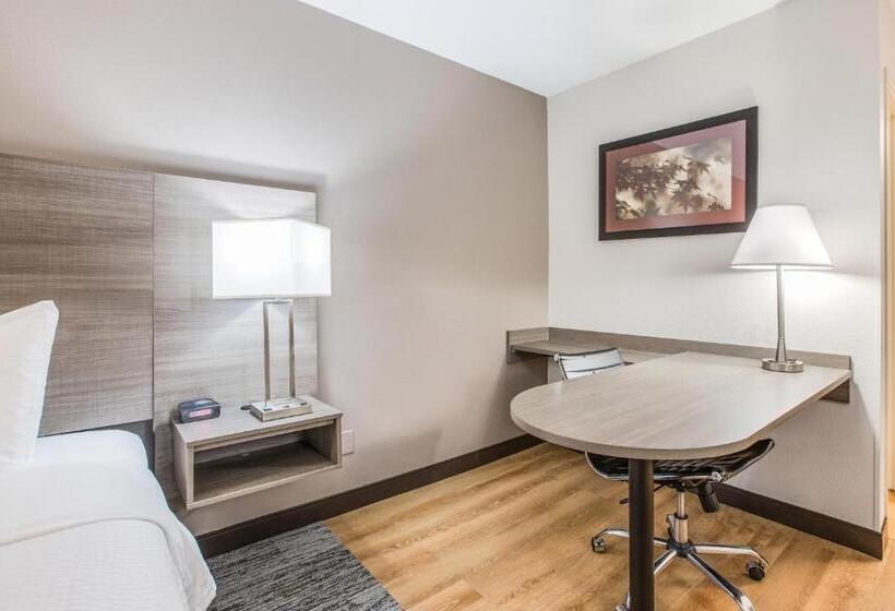 غرفة سوبيريور سرير كينج, Red Roof Inn Lansing West  Msu