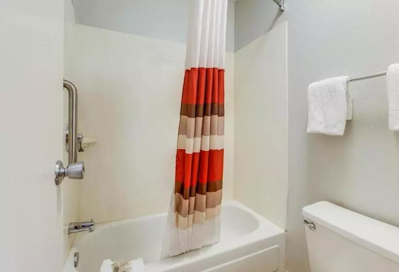اتاق لوکس با تخت بزرگ, Red Roof Inn Lansing West Msu