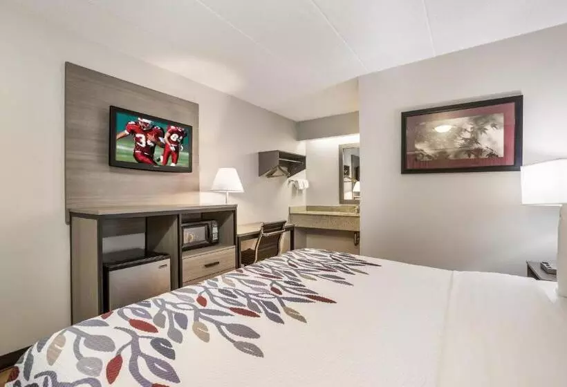 اتاق لوکس با تخت بزرگ, Red Roof Inn Lansing West Msu