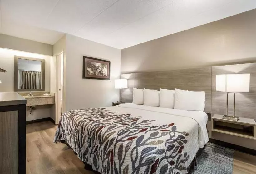 اتاق لوکس با تخت بزرگ, Red Roof Inn Lansing West Msu