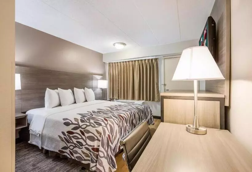 اتاق لوکس با تخت بزرگ, Red Roof Inn Lansing West Msu