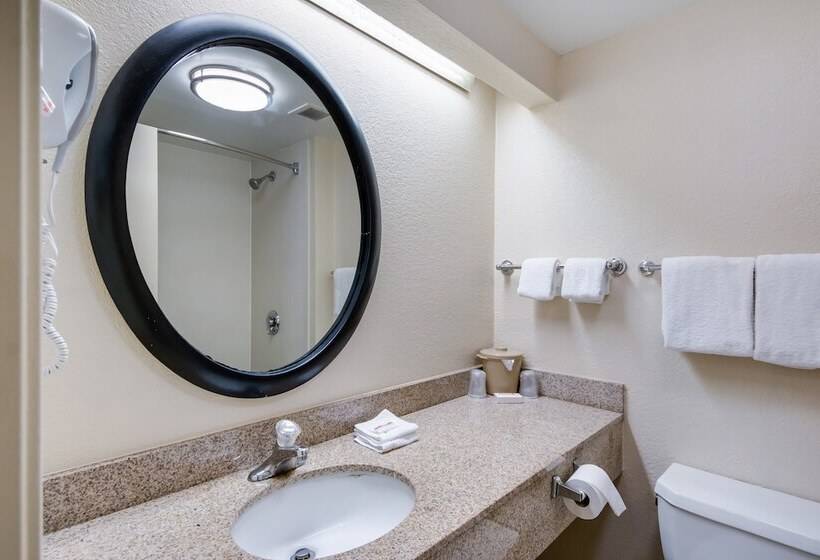 اتاق استاندارد با 2 تخت دوبل, Red Roof Inn Laredo