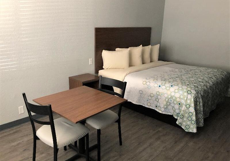 스탠다드 룸 킹사이즈 침대, Red Roof Inn Parsippany