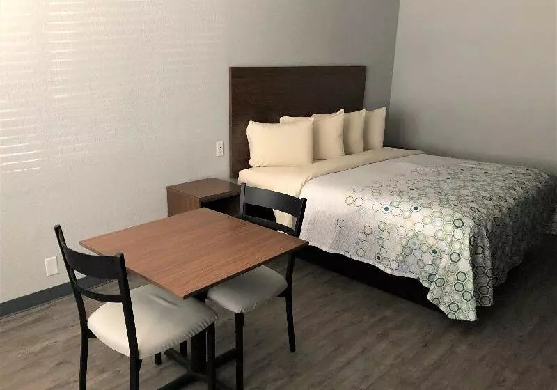 キングサイズベッドのスタンダードルーム, Red Roof Inn Parsippany