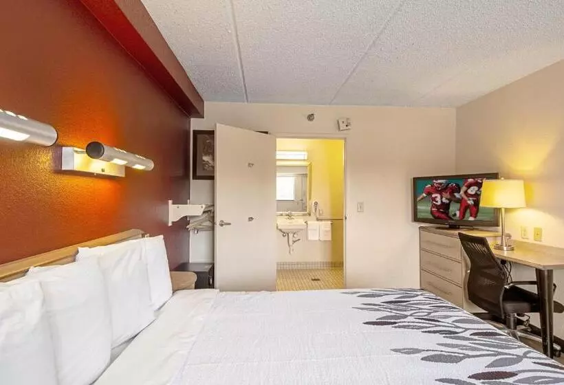 身障者適用キングサイズベッドルーム, Red Roof Inn Pittsburgh North  Cranberry Township