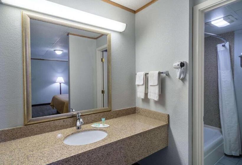 带大床的豪华间, Travelodge By Wyndham Pigeon Forge