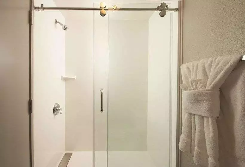 اتاق دلوکس مخصوص معلولین, La Quinta By Wyndham Atlanta Airport North