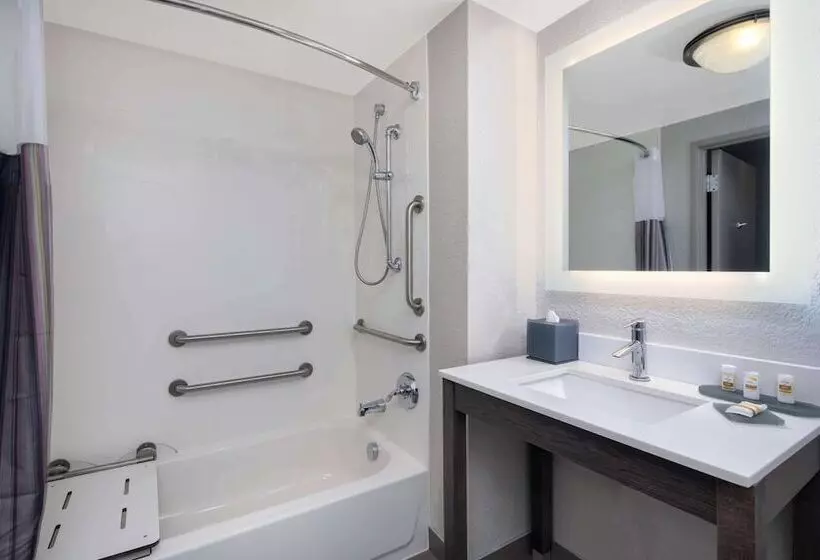 اتاق استاندارد با تخت دوبل برای معلولان, La Quinta By Wyndham Atlanta Airport North