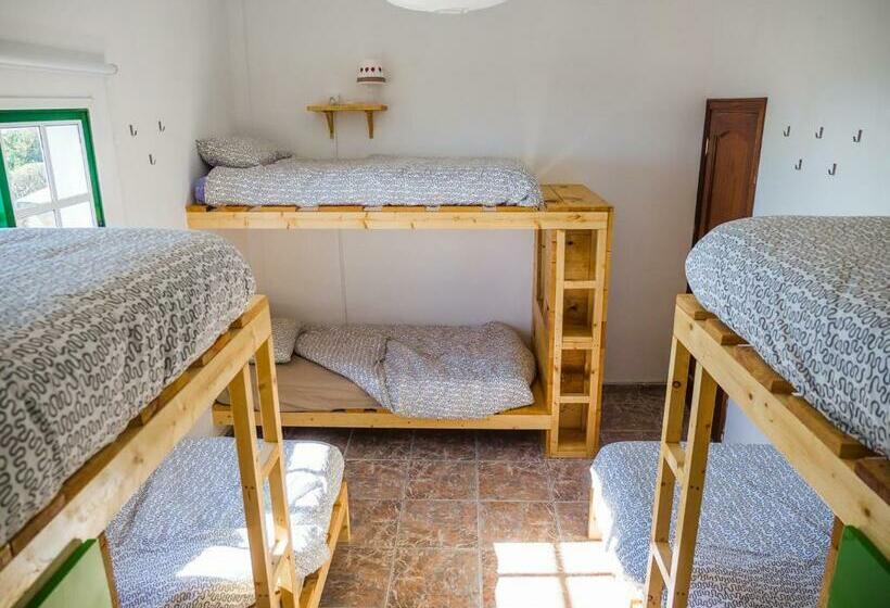 מיטה בחדר משותף, Tenerife Climbing House