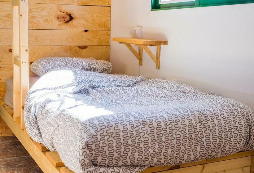 מיטה בחדר משותף, Tenerife Climbing House