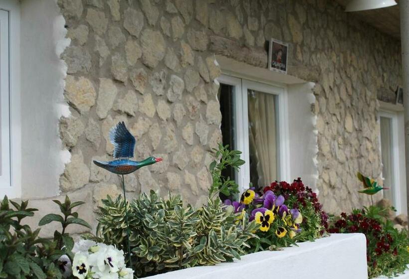 Номер Стандарт Вид на Сад, Mirador Las Grullas