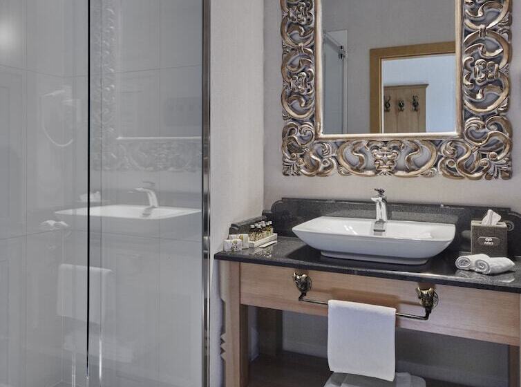 اتاق پرمیوم, Aries Hotel & Spa Wisła