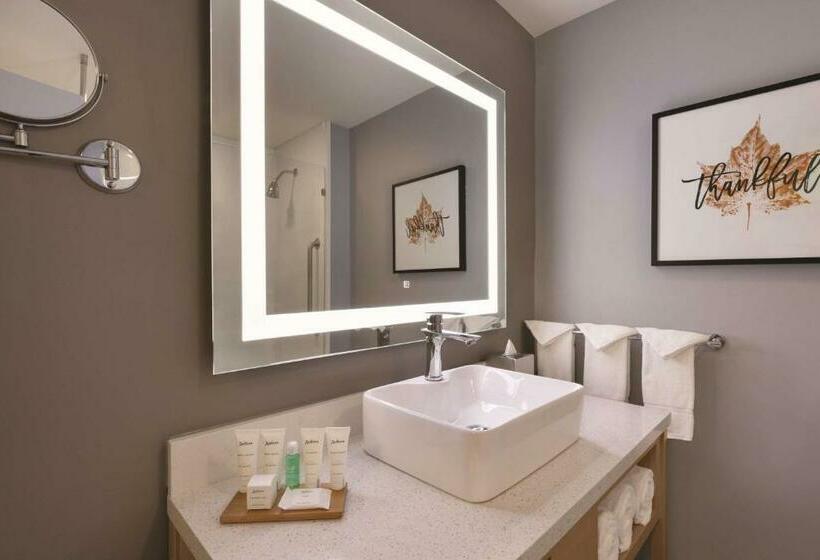 Стандартный Номер Кровать Кинг, Radisson Hotel Atlanta Airport