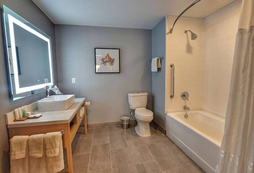 Люкс, Radisson Hotel Atlanta Airport