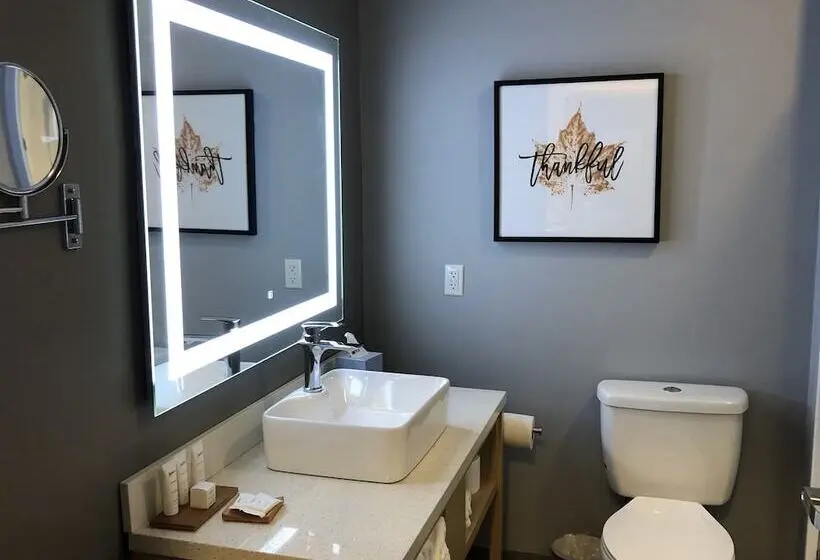 スイート, Radisson Hotel Atlanta Airport