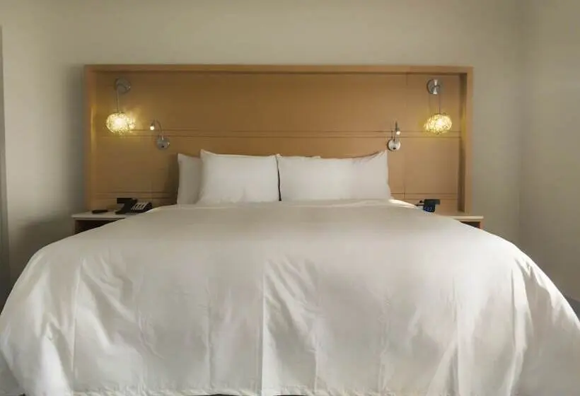 身障者適用スイートルーム, Radisson Hotel Atlanta Airport