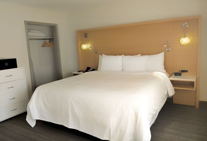 Люкс Адаптированный для Инвалидов, Radisson Hotel Atlanta Airport