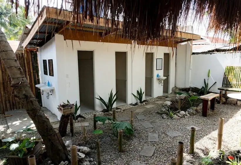 تختخواب در اتاق مشترک, Crazy Bears Hostel