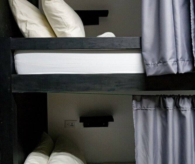 공동 객실, Crazy Bears Hostel