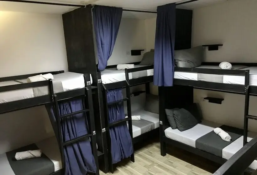 تختخواب در اتاق مشترک, Crazy Bears Hostel
