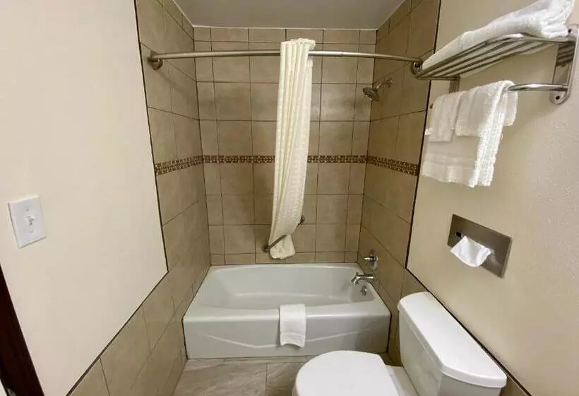 اتاق استاندارد با تخت بزرگ, Roswell Inn