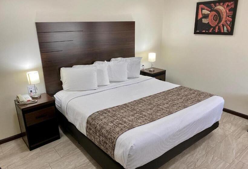 غرفة قياسية سرير كينج, Roswell Inn