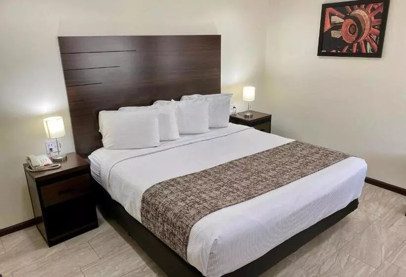 اتاق استاندارد با تخت بزرگ, Roswell Inn