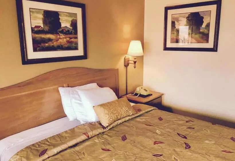 اتاق استاندارد با تخت بزرگ, River Inn