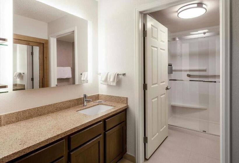 إستوديو قياسى سرير كينج, Residence Inn Denver Southwest/lakewood